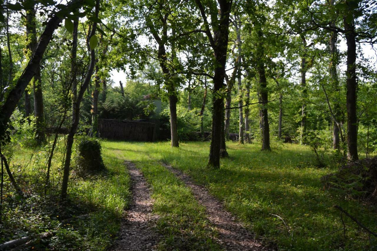 Ferme De Mouline Villa Sainte-Foy-la-Longue Екстериор снимка